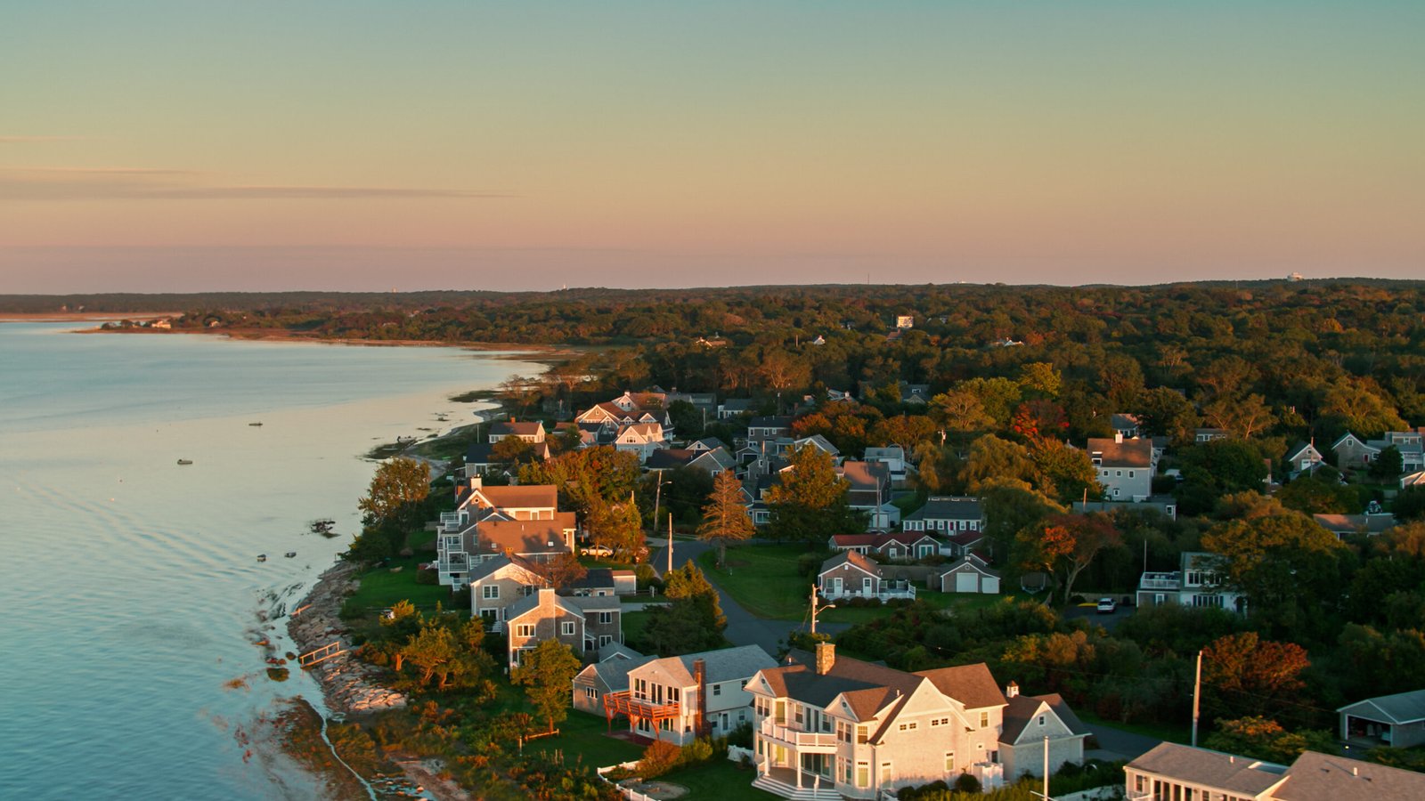 Cape Cod