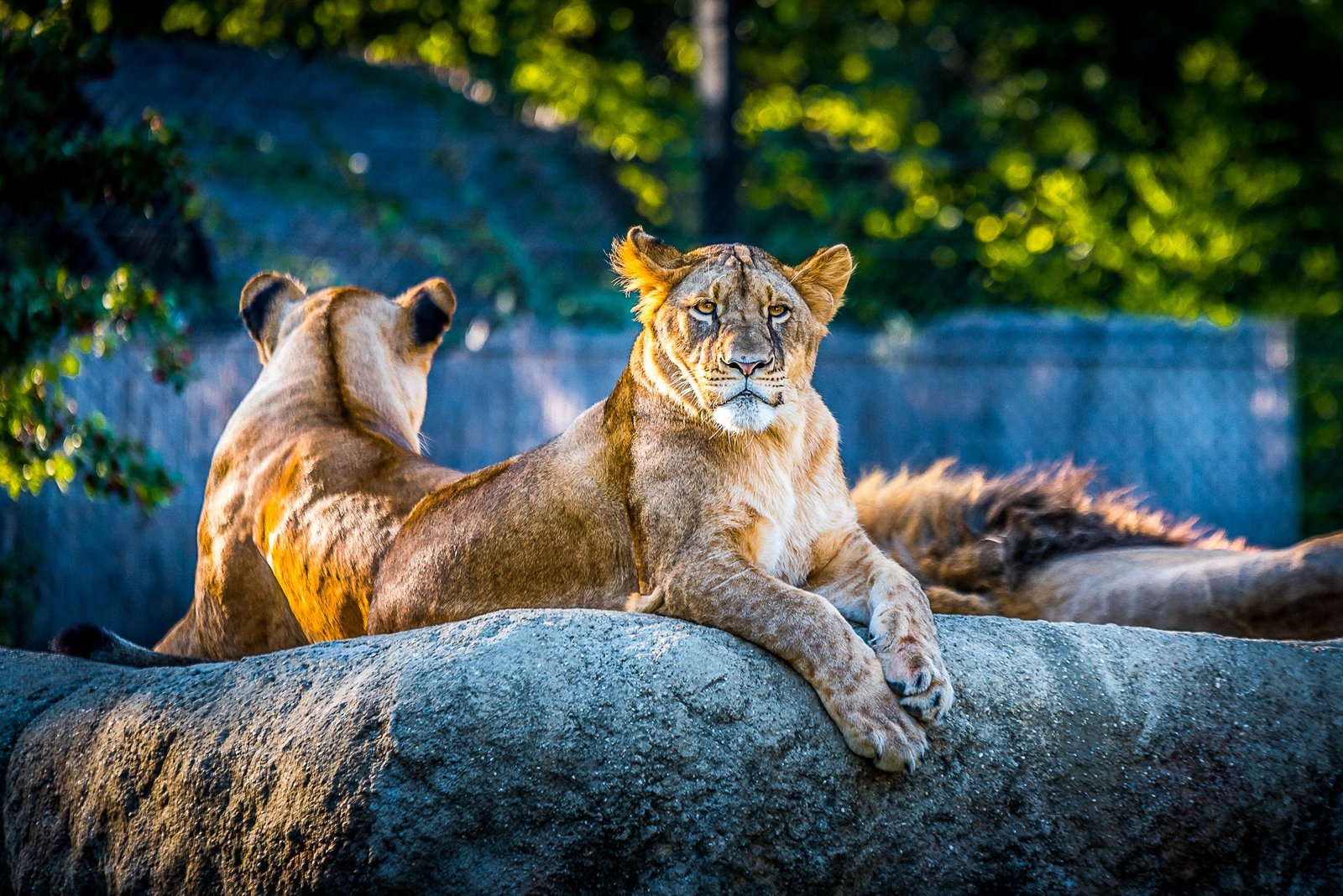 Aquariums and Zoos to Explore