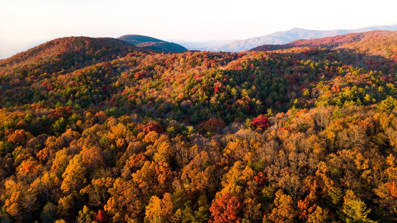 Colorful Foliage of the best state to visit in new england