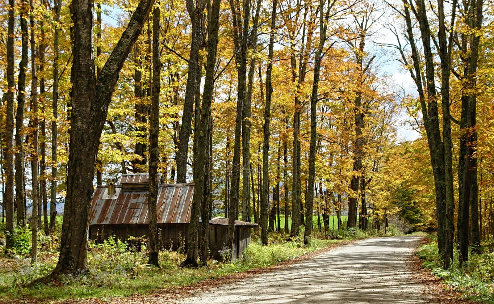 Newark, VT, New England