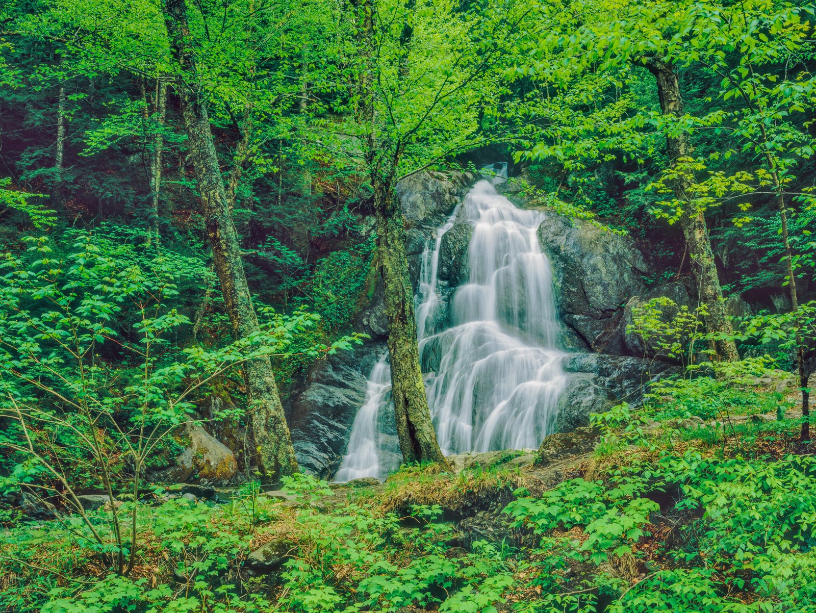 Waterfalls in Vermont: 5 Falls in Vermont You Must See